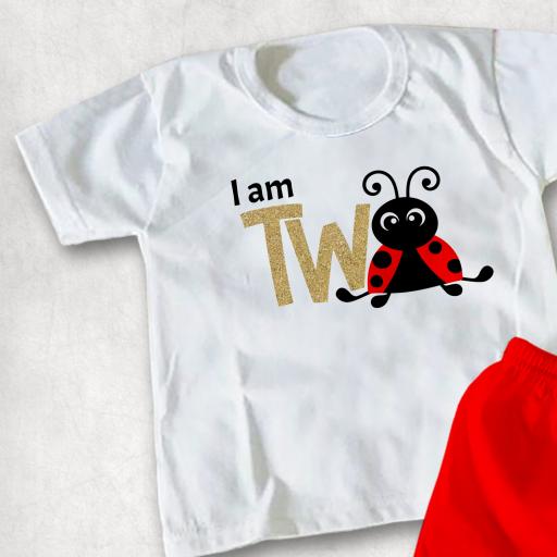 I am Two Ladybird Childs T-shirt or Hoodie